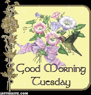 Good-Morning-Tuesday-Wallpaer.jpg