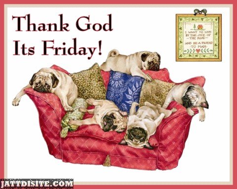 god pugs thank god its friday pug dogs jattdisite god pugs thank god its friday pug dogs jattdisite