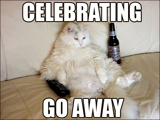 cat day pictures, images page 2 Celebrating Go Away cat day pictures, images page 2
