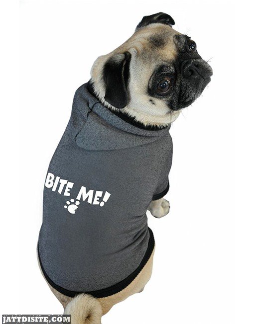 Bite Me Hoodie Pug Dog Graphic