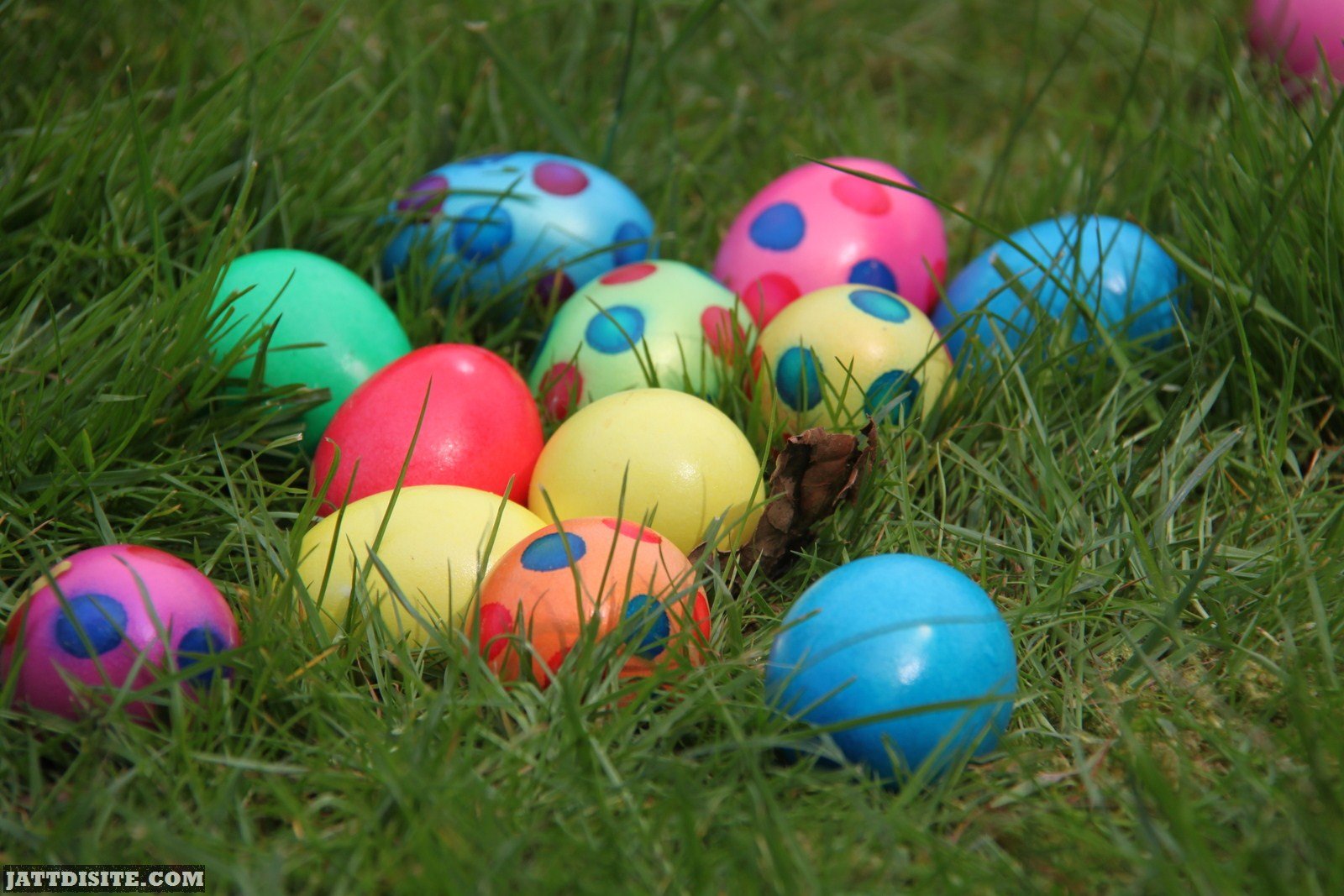 Easter Eggs On Grass Jattdisite Com
