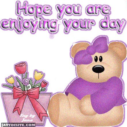 Hope You Are Enjoying Your Day With Cute Pretty Teddy - JattDiSite.com