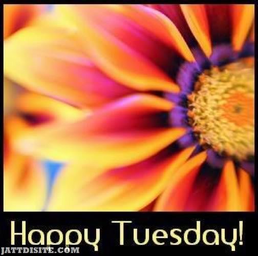 Happy Tuesday Flower - JattDiSite.com