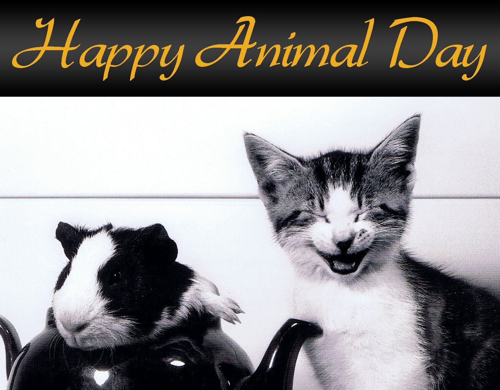 World Animal Day Image - JattDiSite.com